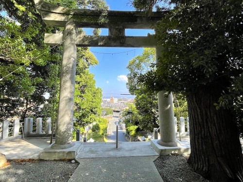 奈良時代末に創建された鎮守の杜「二之宮 陳内阿蘇神社」御朱印のい