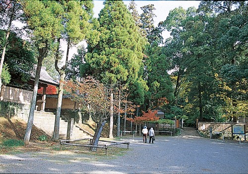 宮本武蔵シリーズ 熊本偉人伝Vol.1｜旅ムック.com 熊本